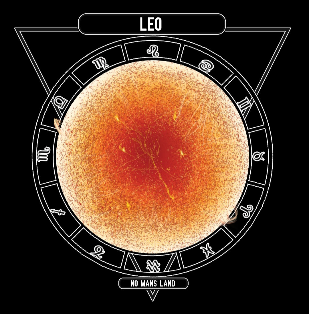 Leo NML SS