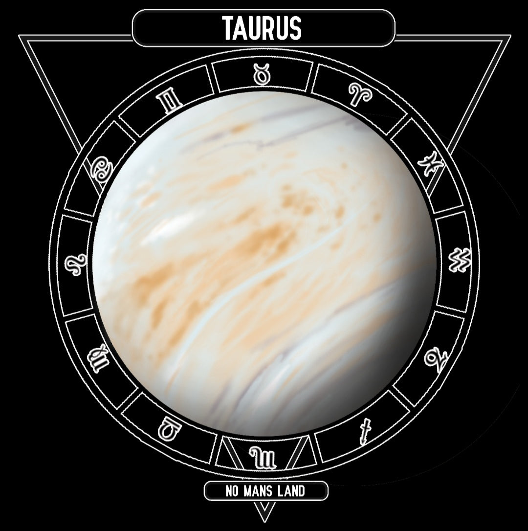 Taurus NML SS