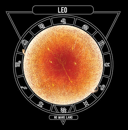 Leo NML SS